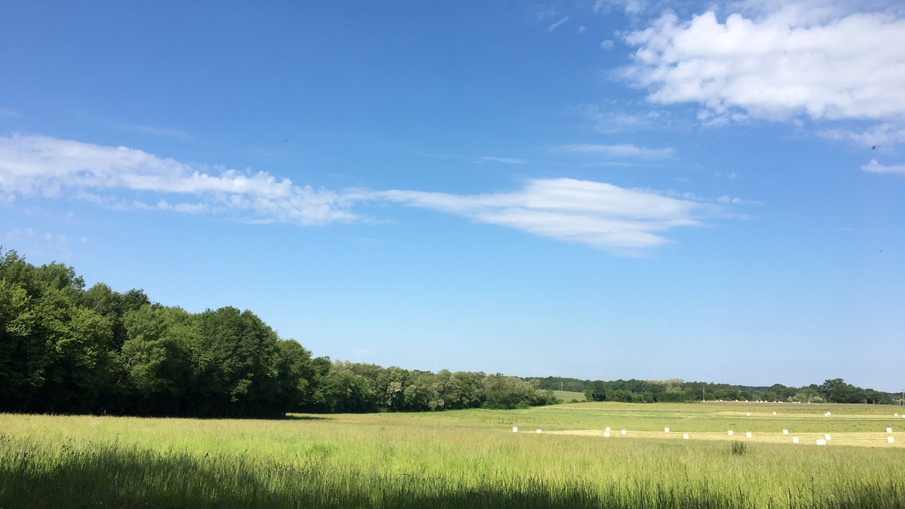 Photo of Others in Le Vieux-Cerier