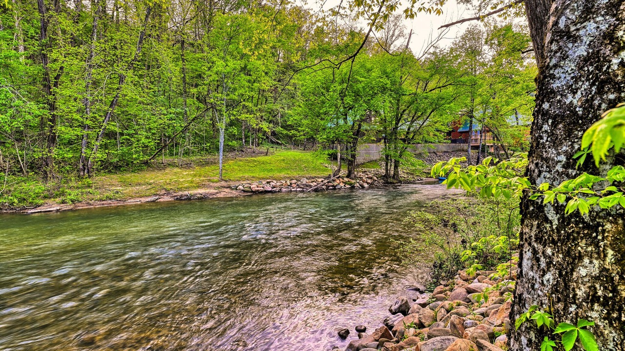 Photo of Others in Pigeon Forge