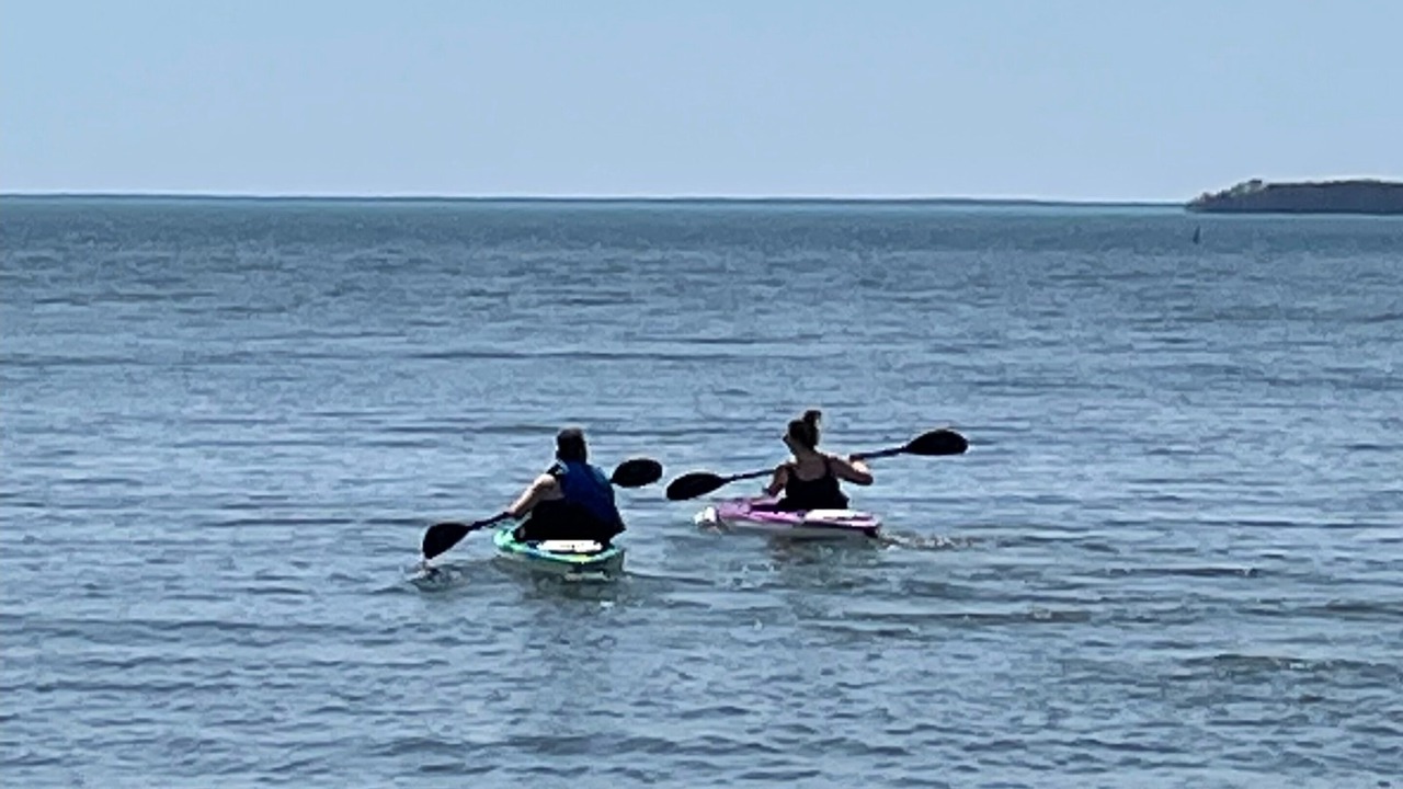 Photo of Others in Woodville