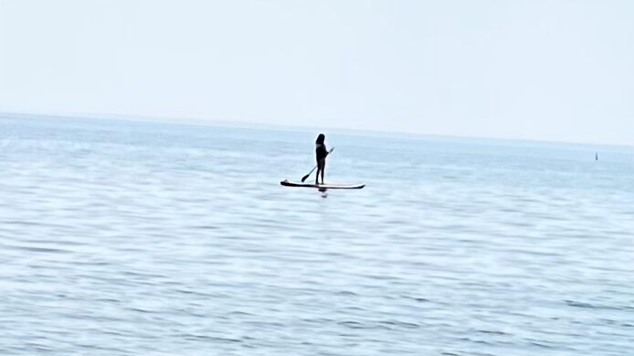 Photo of Others in Woodville