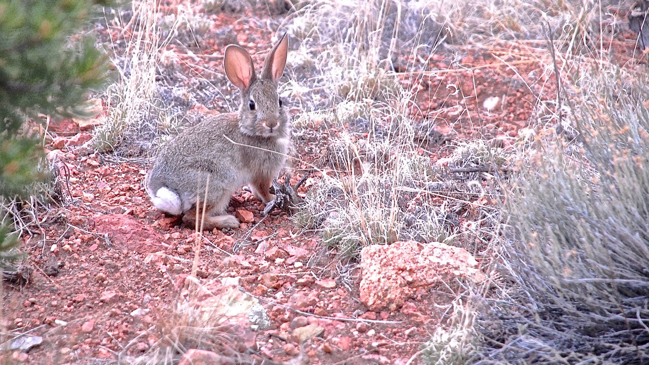 Photo of Others in Santa Fe