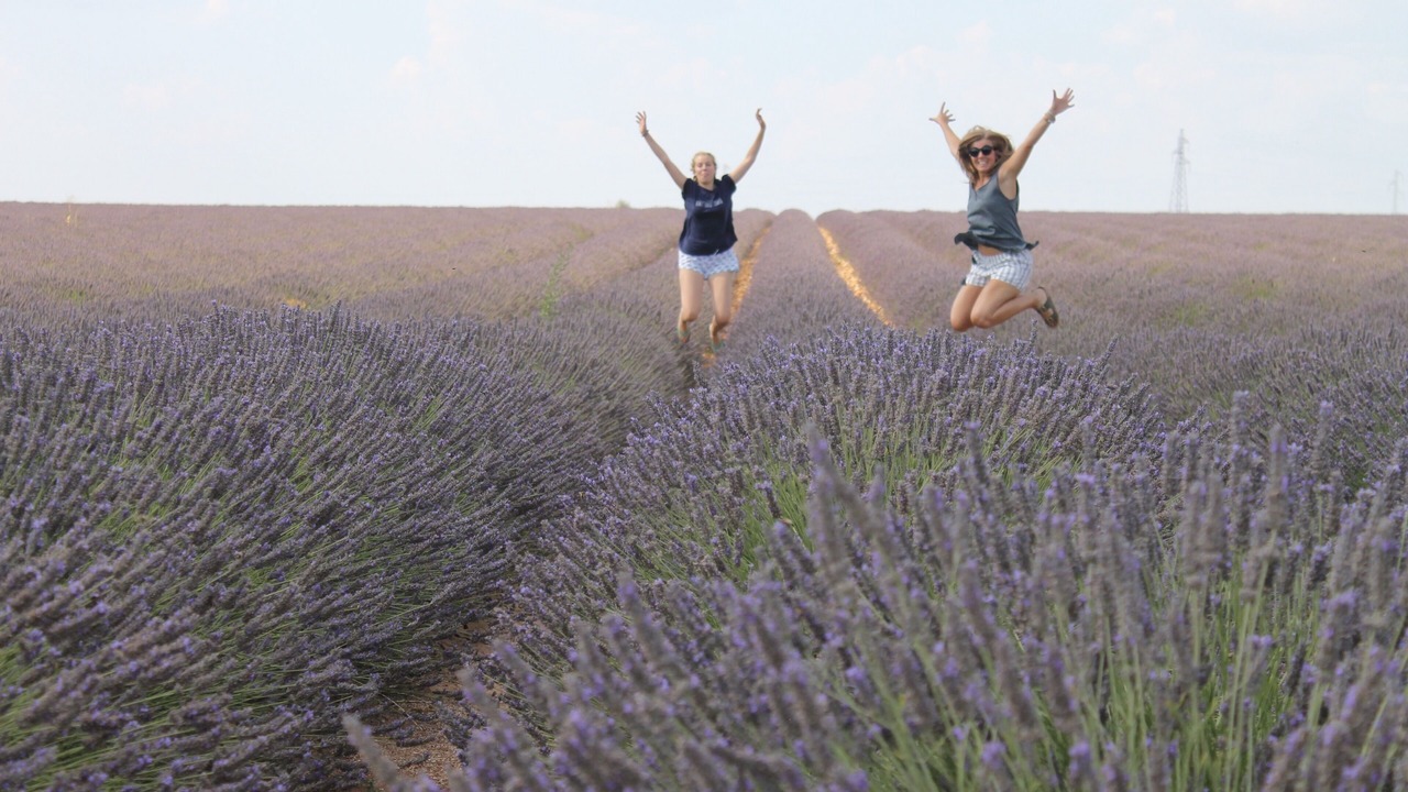 Photo of Others in Baudinard-sur-Verdon