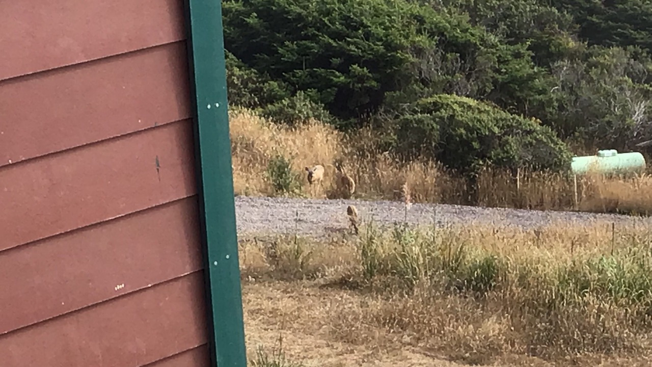 Photo of Outdoor in Westport