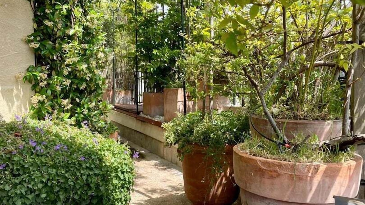 Photo of Outdoor in Grenelle