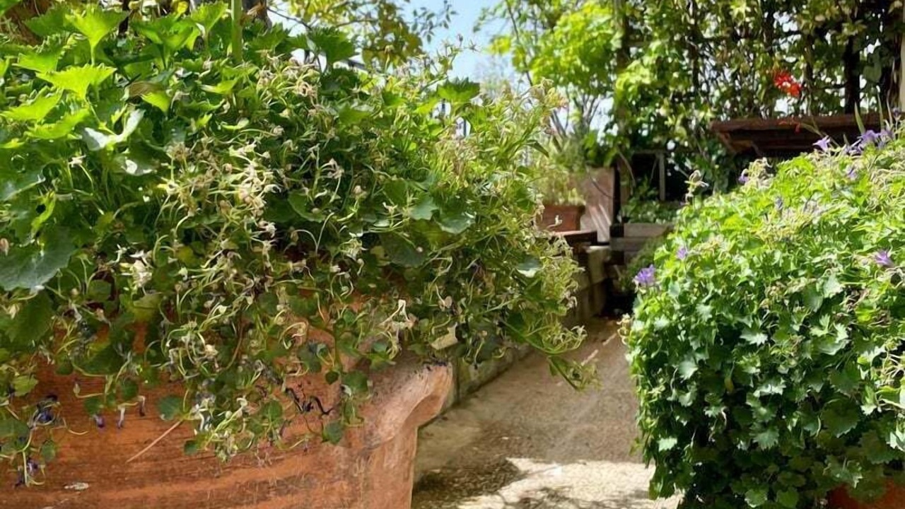 Photo of Outdoor in Grenelle