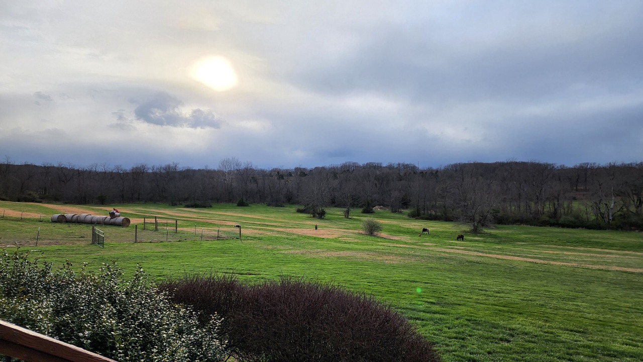 Photo of Outdoor in Marshfield