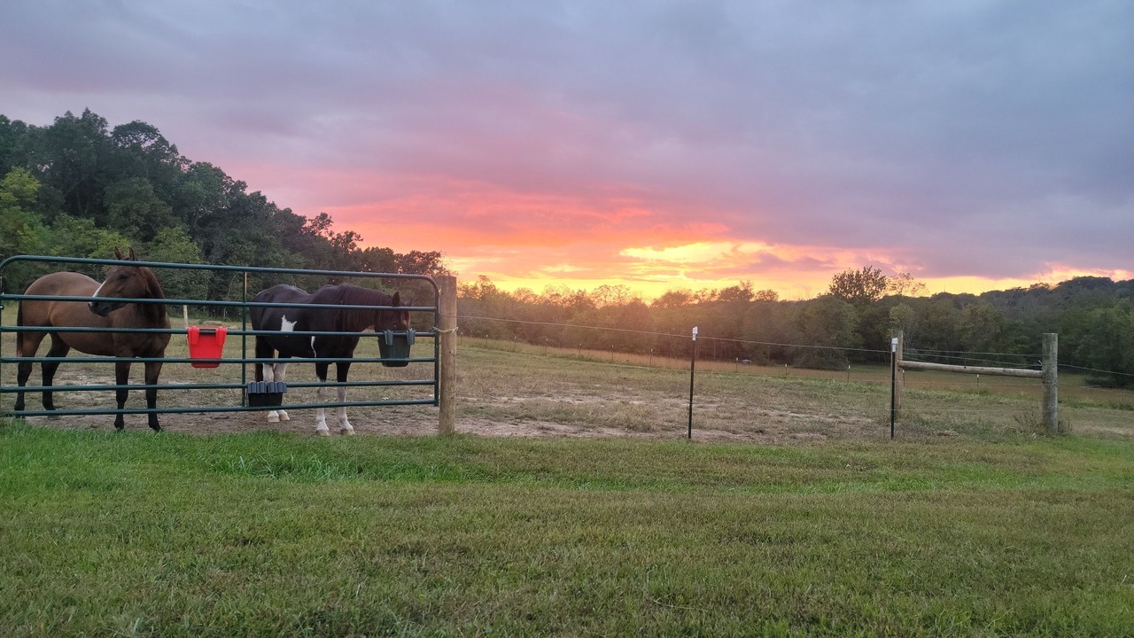 Photo of Outdoor in Marshfield
