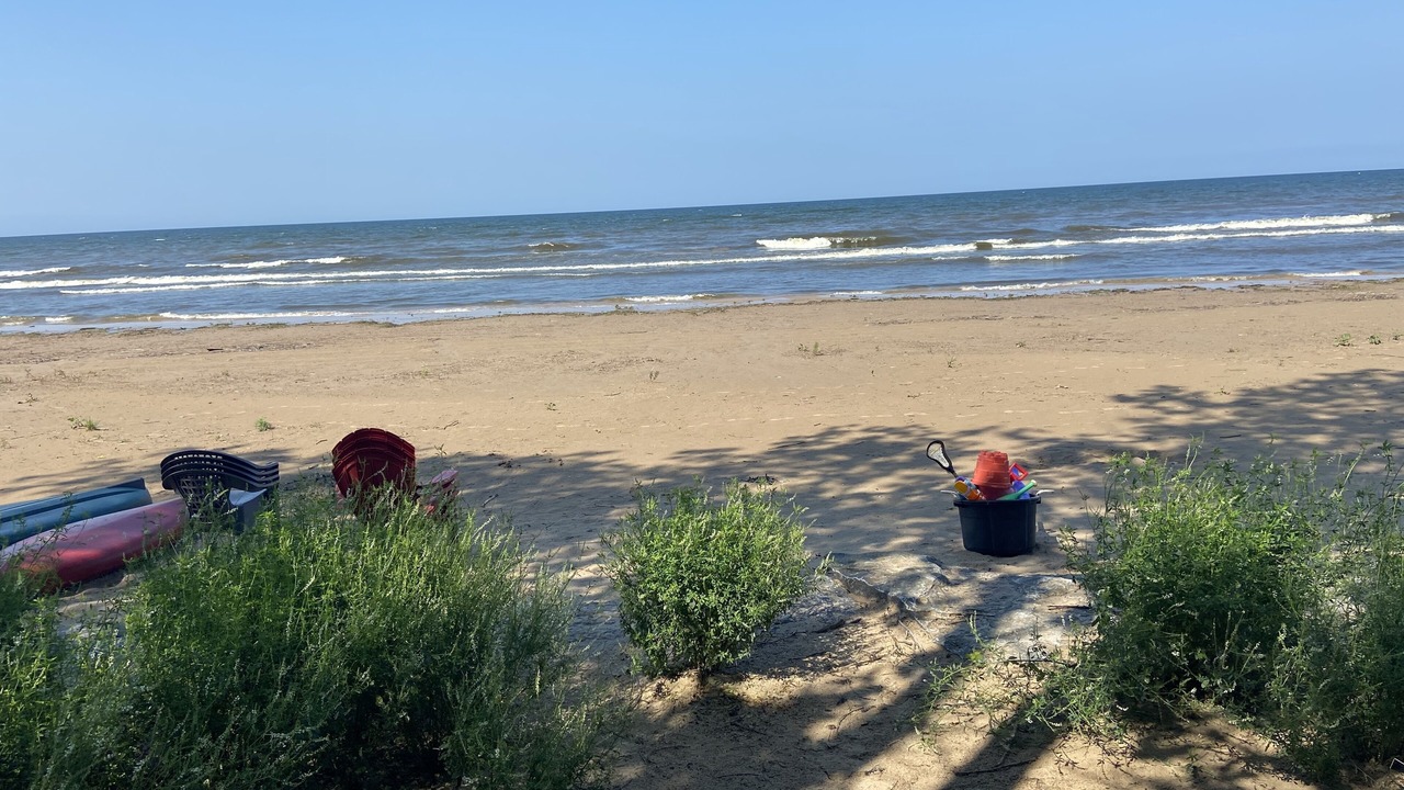 Photo of Others in Henderson