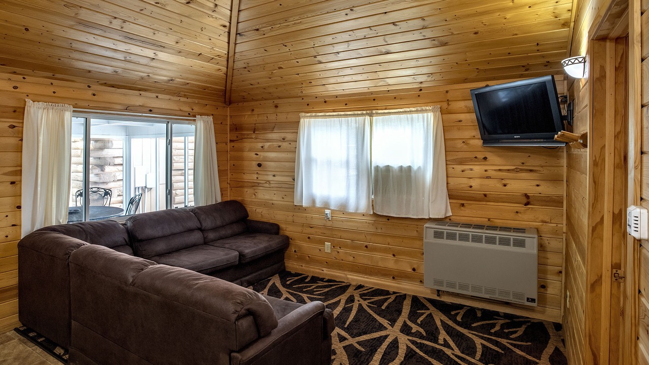 Photo of Livingroom in Buffalo City