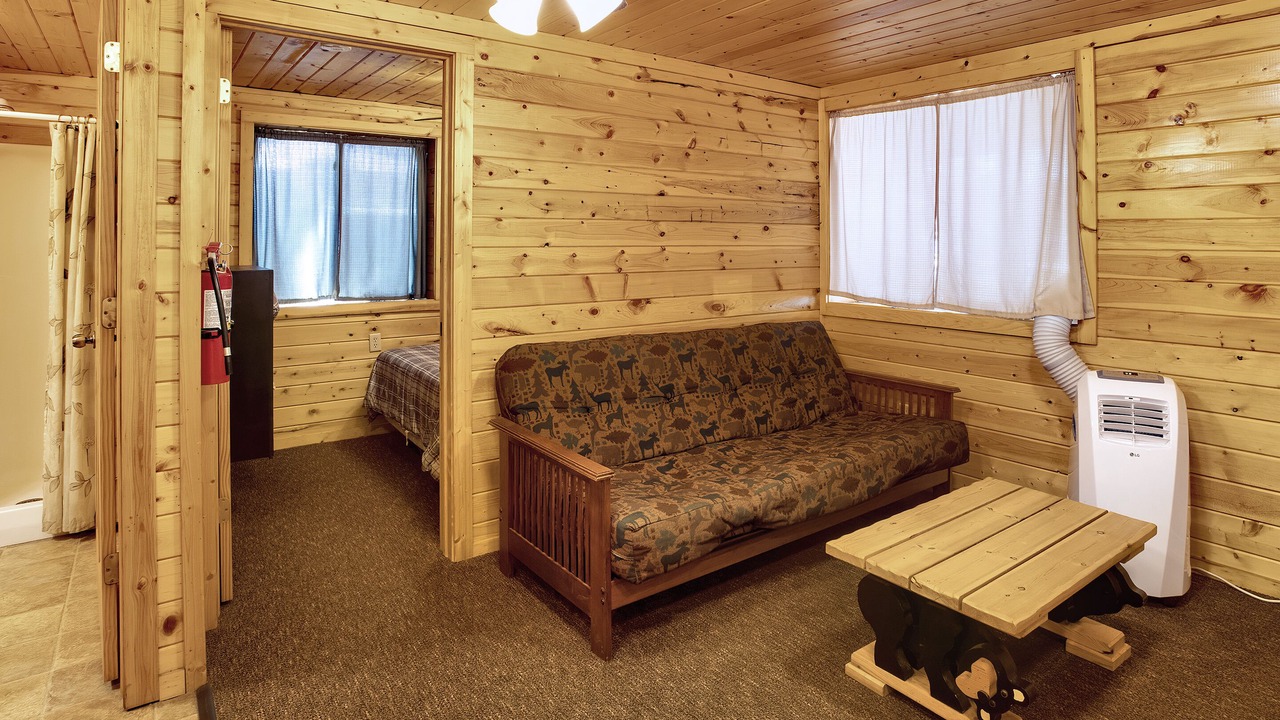 Photo of Livingroom in Buffalo City