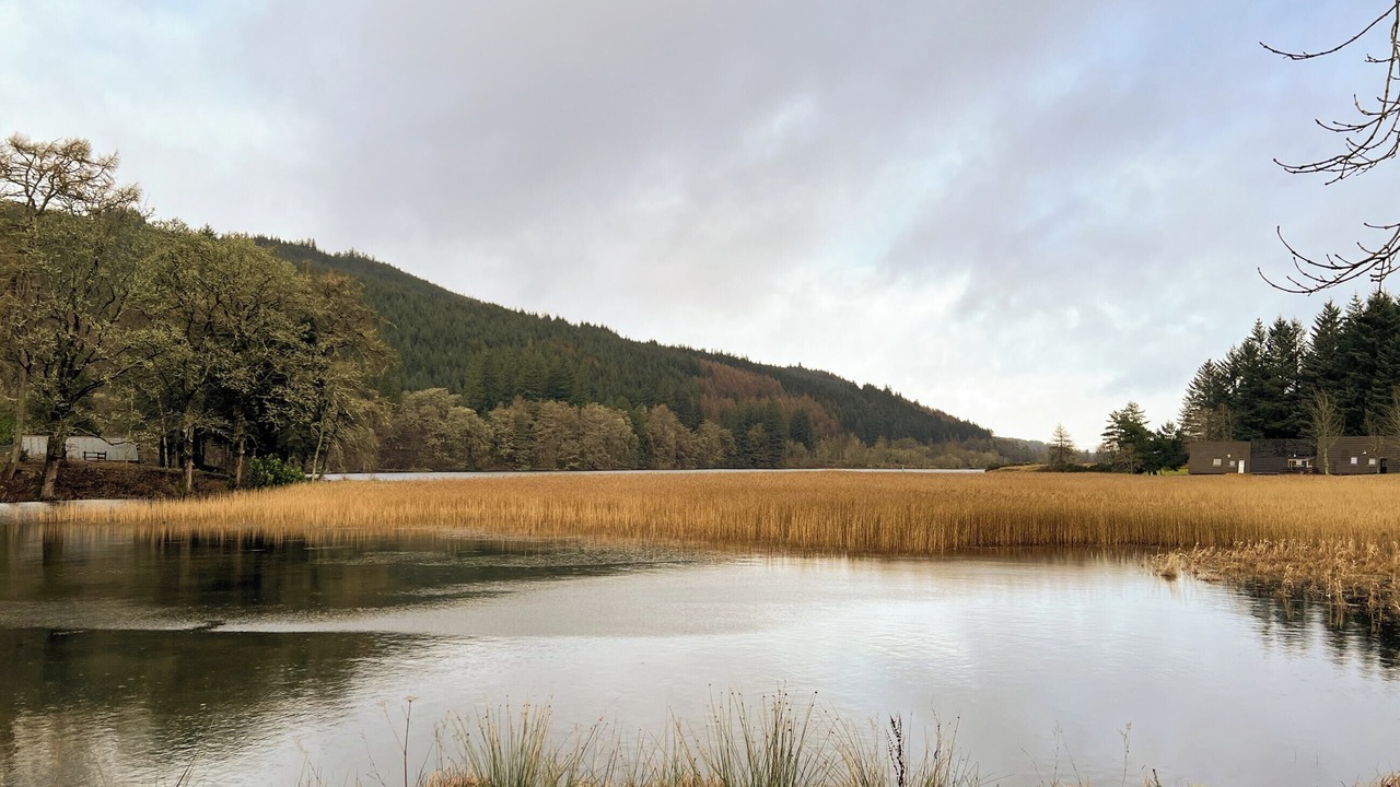 Photo of Others in South Laggan