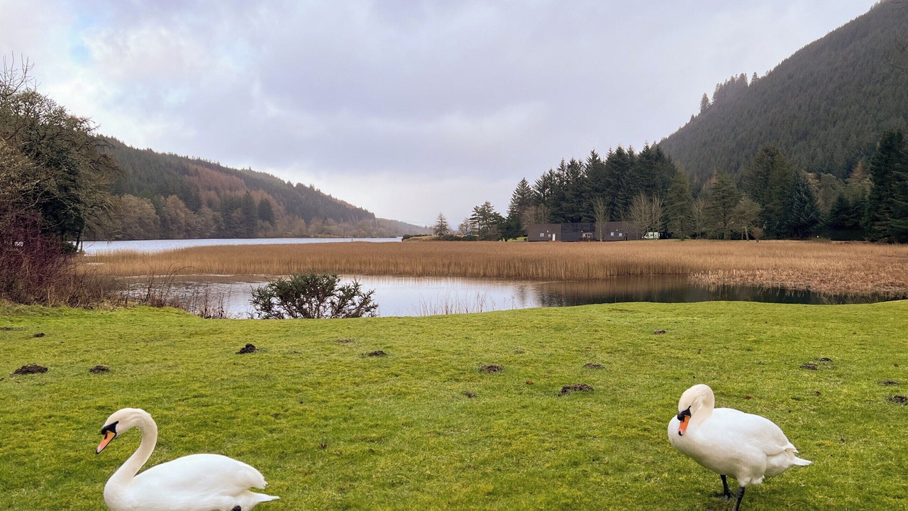 Photo of Others in South Laggan