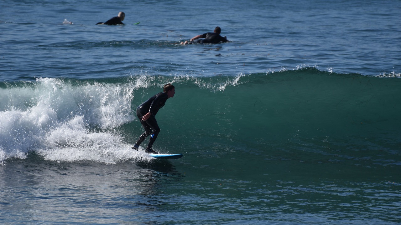 Photo of Others in Las Gaviotas