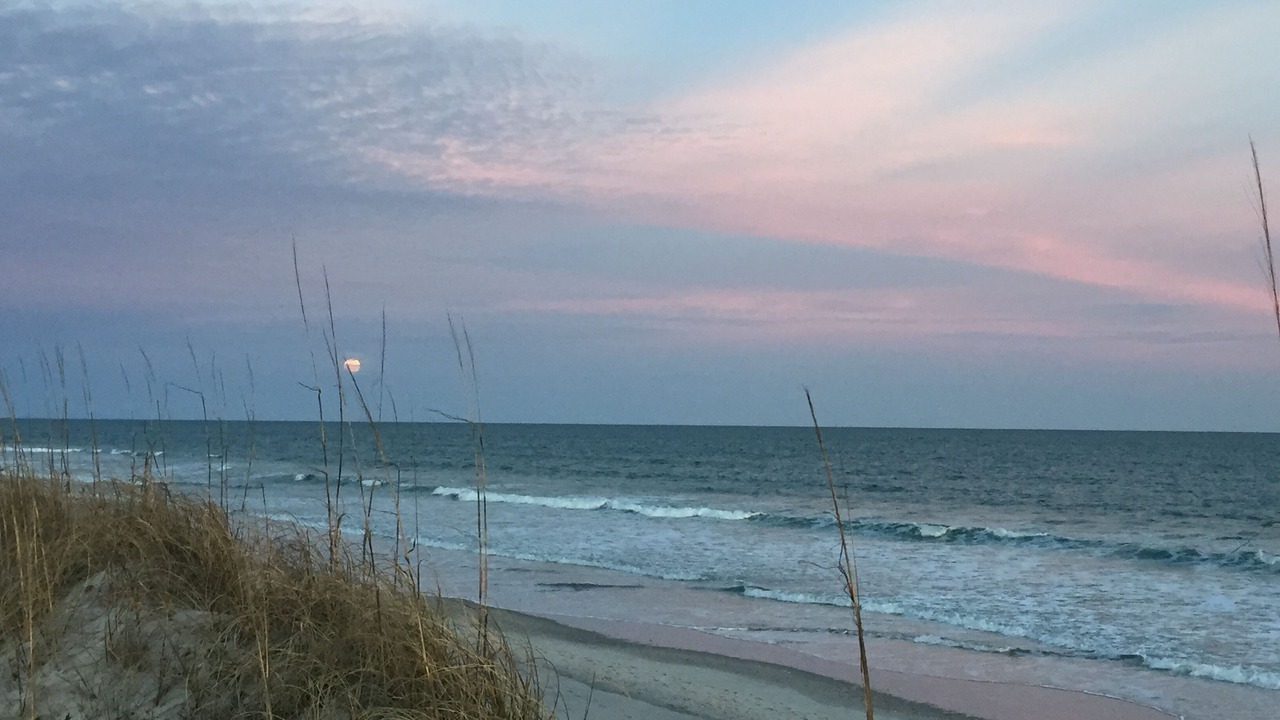 Photo of Others in Ocean City Beach
