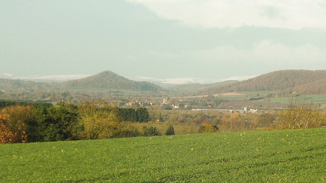Photo of Others in Bodenham