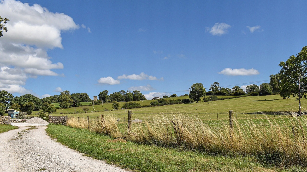 Photo of Others in Bradbourne