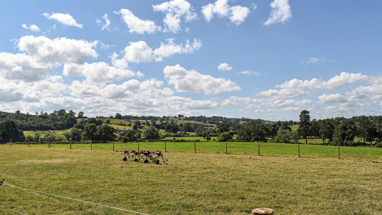 Photo of Others in Bradbourne