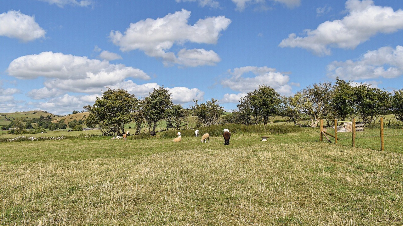 Photo of Others in Bradbourne