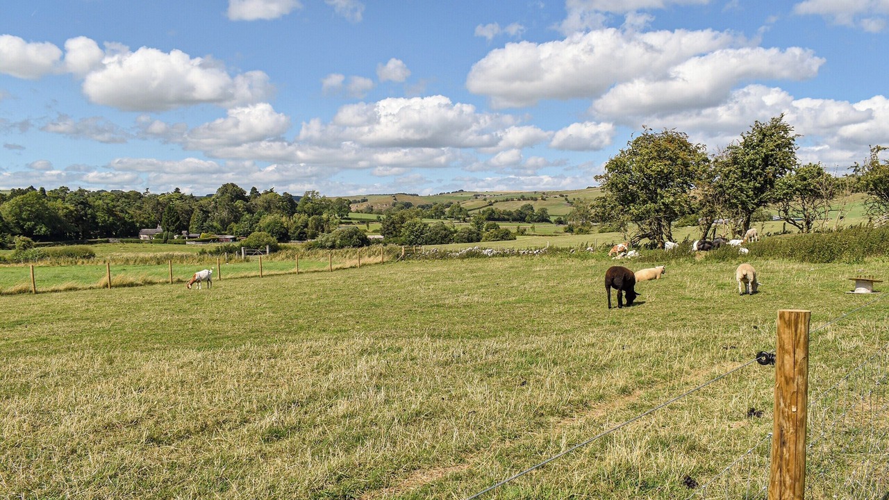 Photo of Others in Bradbourne