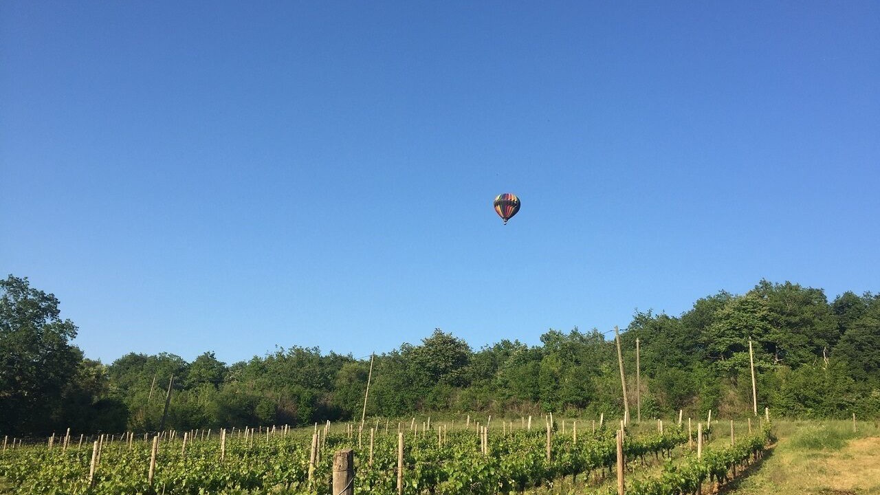 Photo of Outdoor in Charnay