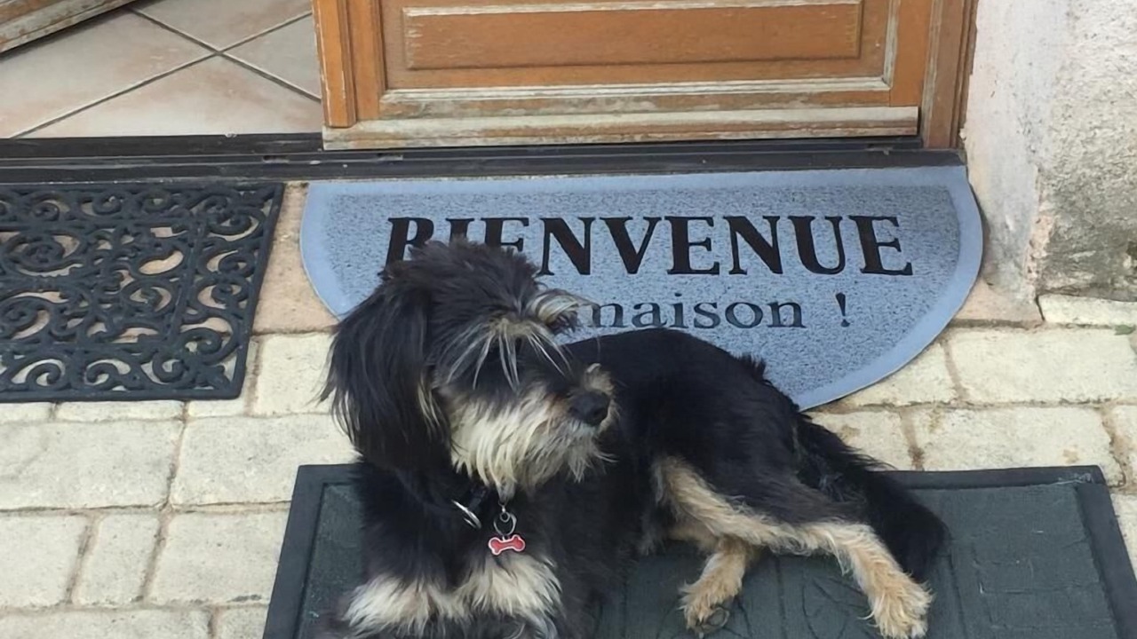 Photo of Outdoor in Charnay