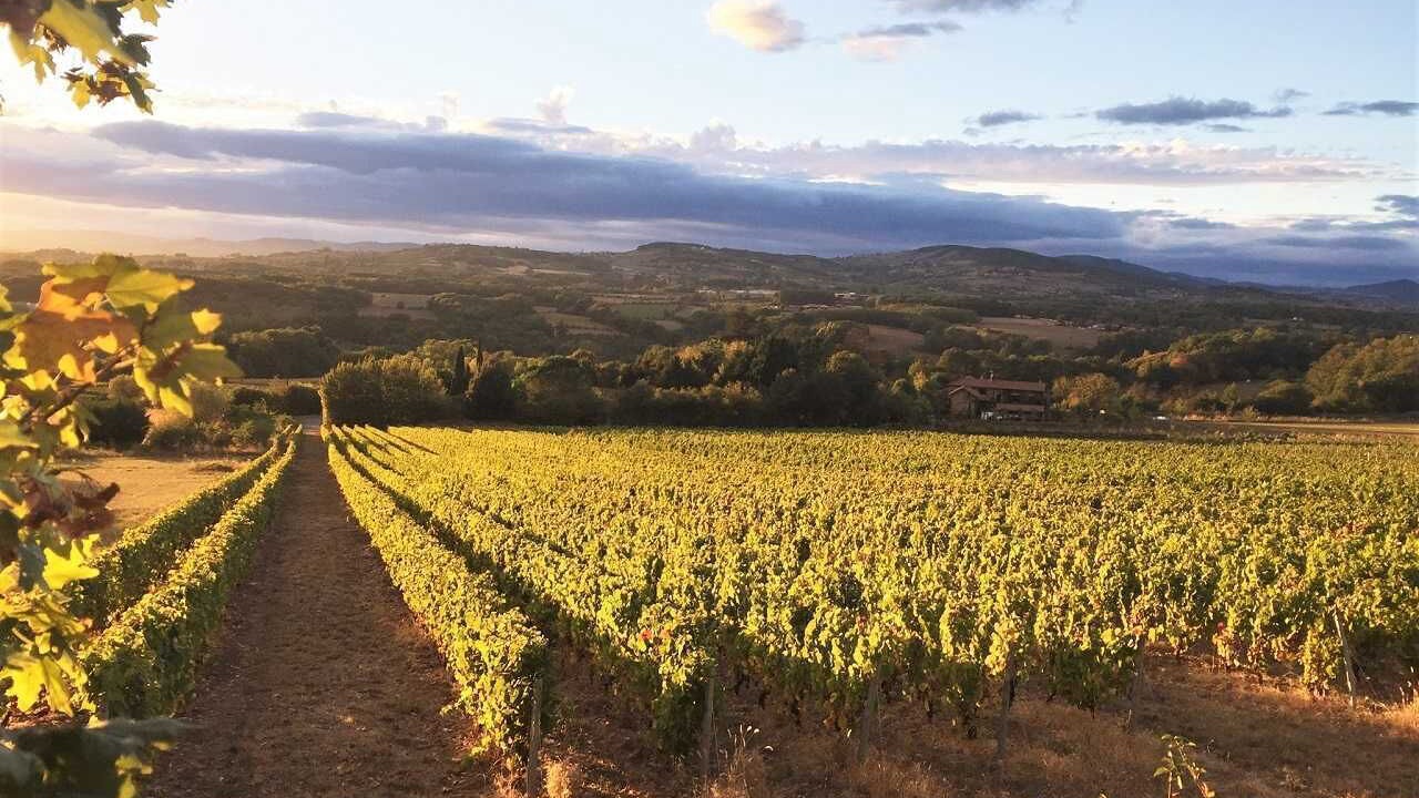 Photo of Others in Charnay