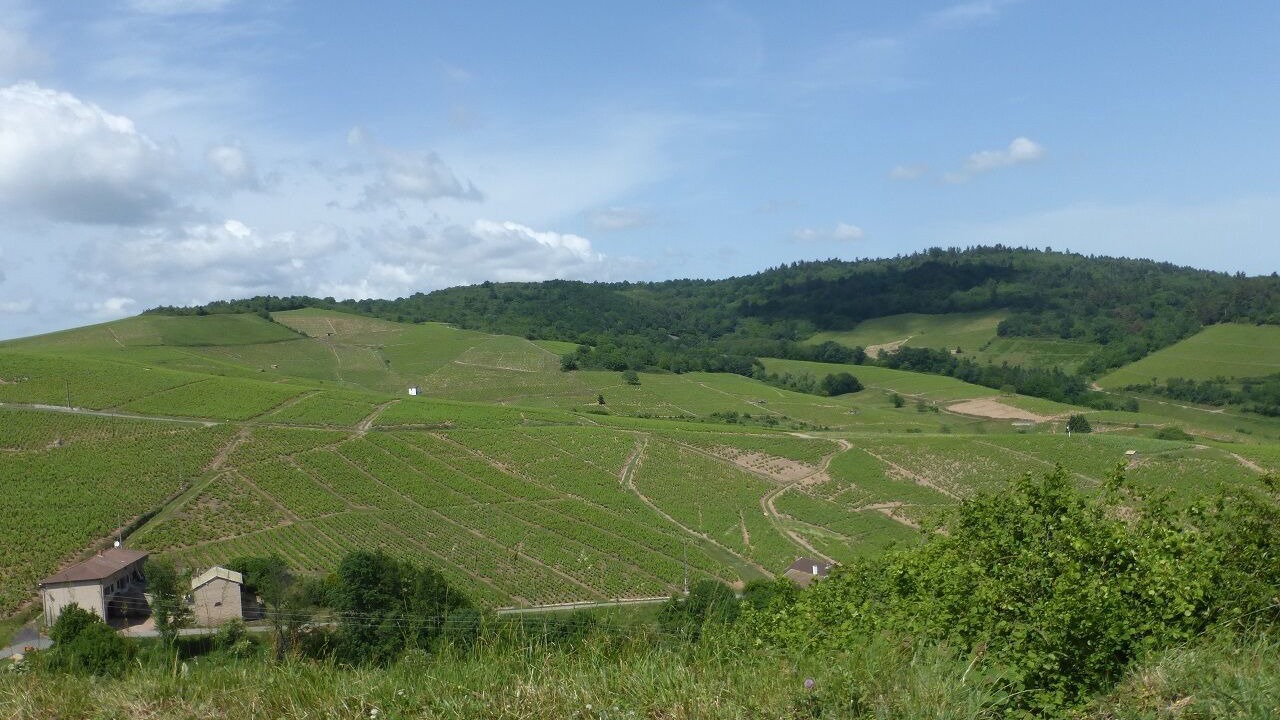 Photo of Others in Emeringes