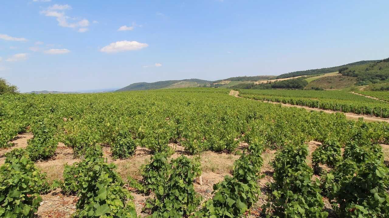 Photo of Others in Vauxrenard