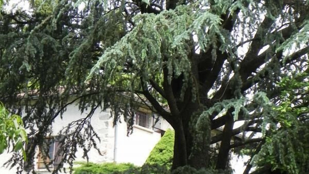 Photo of Outdoor in Ronno