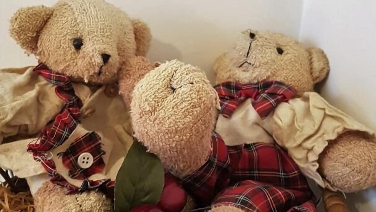 Photo of Others in Courzieu