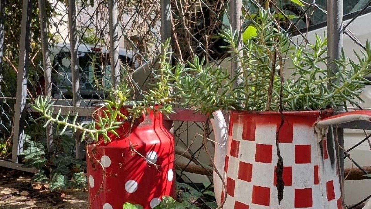 Photo of Outdoor in Vaulx En Velin Village