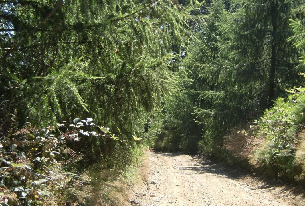 Photo of Outdoor in Joux