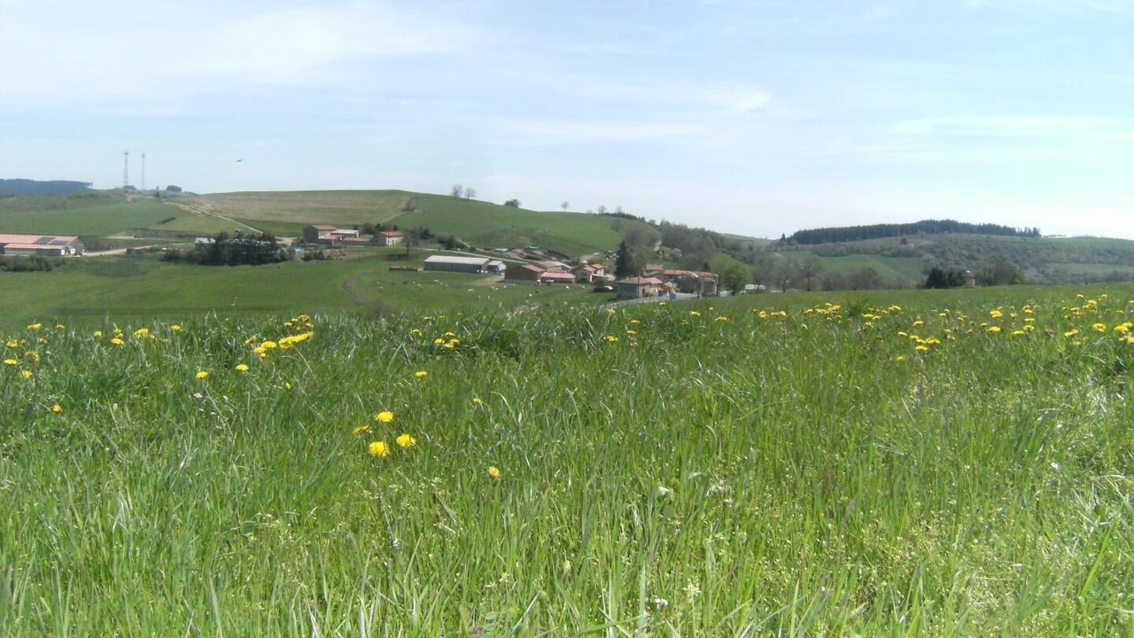 Photo of Others in Joux