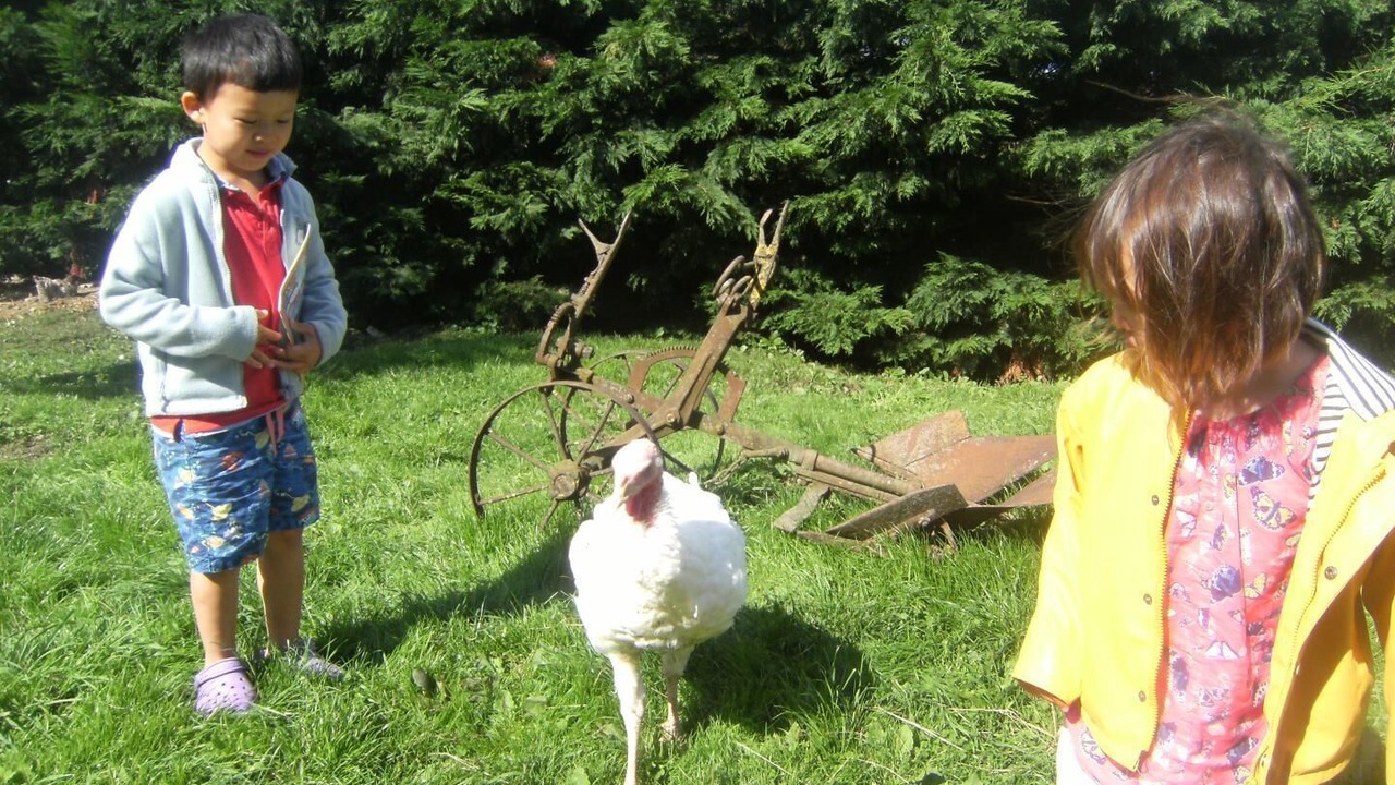 Photo of Outdoor in Joux