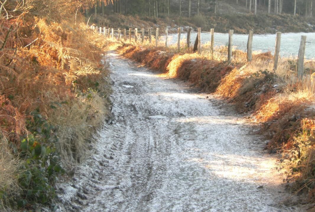 Photo of Others in Joux