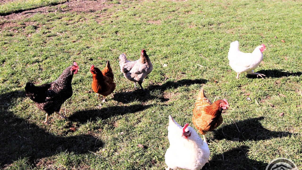 Photo of Others in Joux