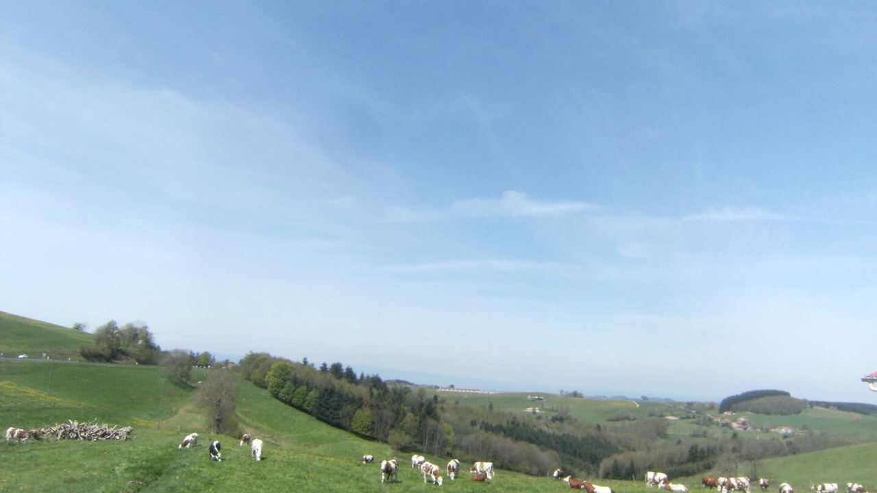 Photo of Others in Joux