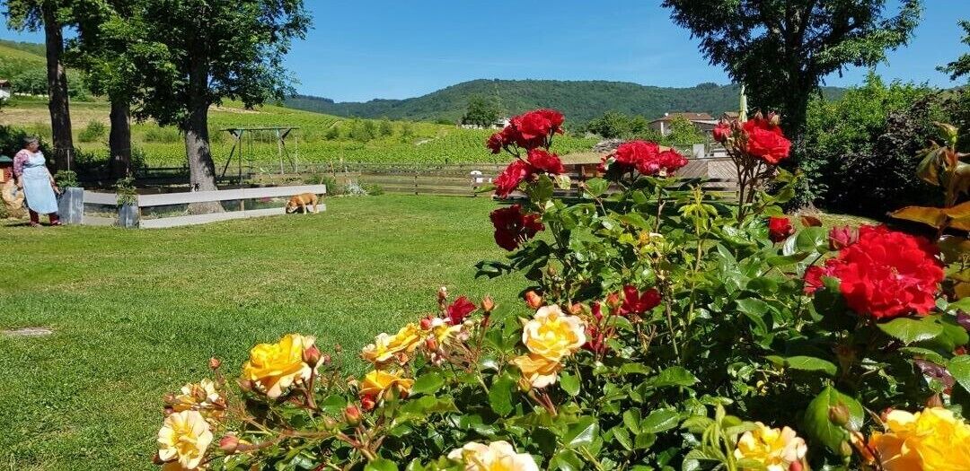 Photo of Outdoor in Le Perreon