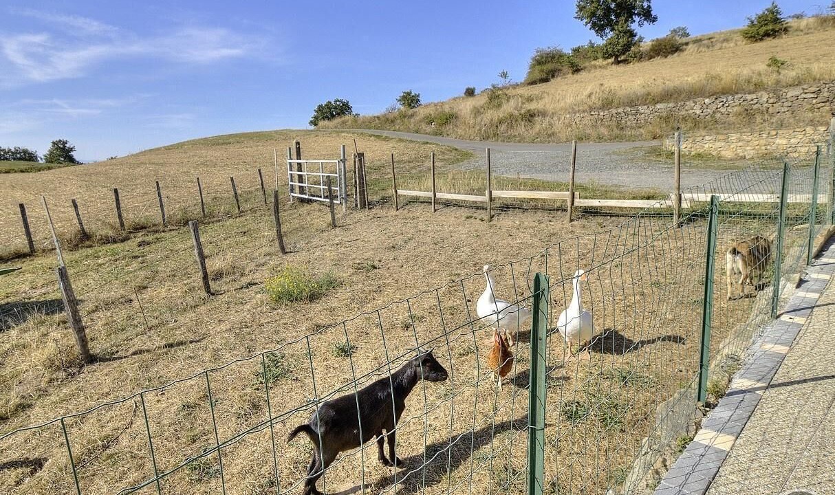 Photo of Outdoor in Pomeys