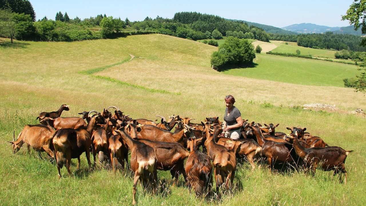 Photo of Others in Propieres