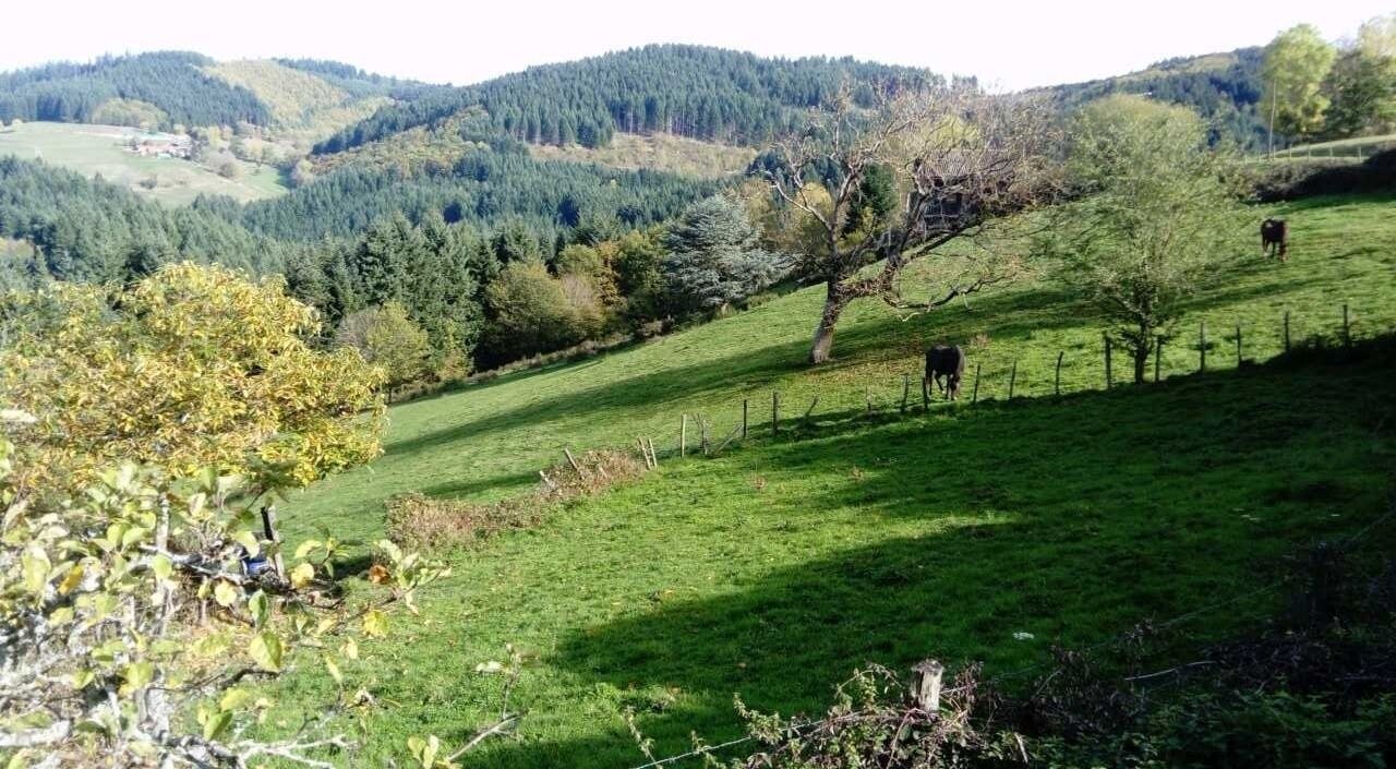 Photo of Outdoor in Saint-Appolinaire