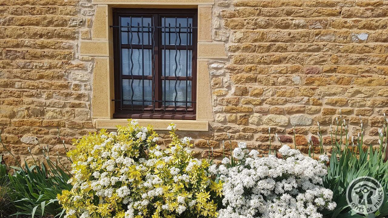 Photo of Outdoor in Lacenas