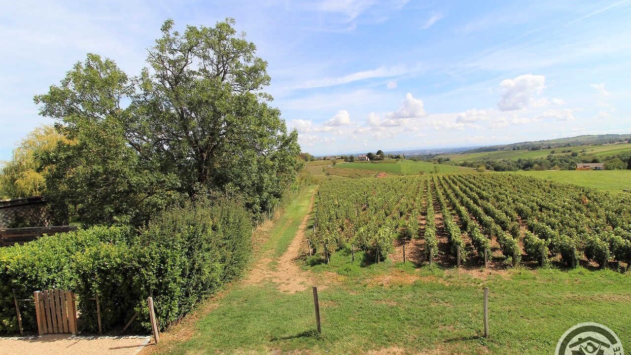 Photo of Outdoor in Lacenas
