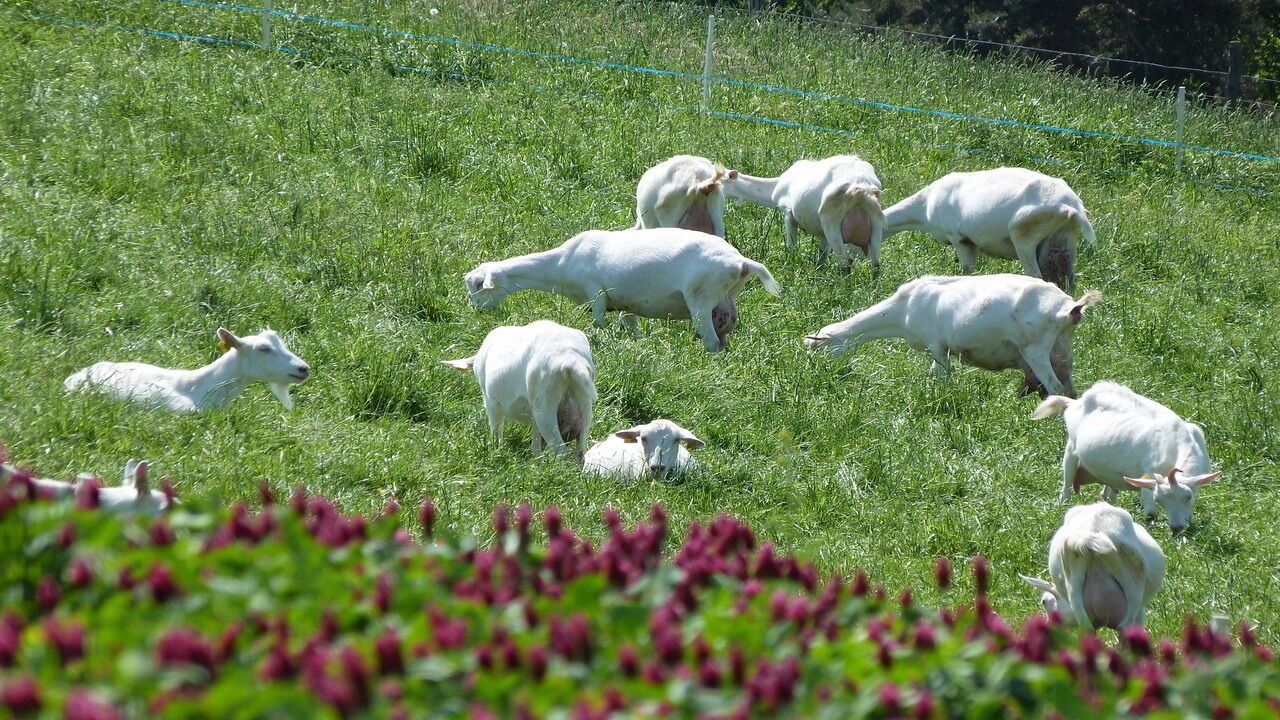 Photo of Outdoor in Pomeys