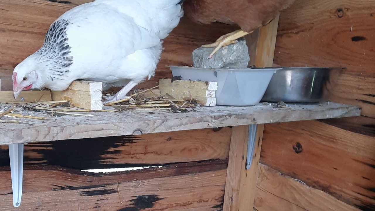 Photo of Others in Chuelles