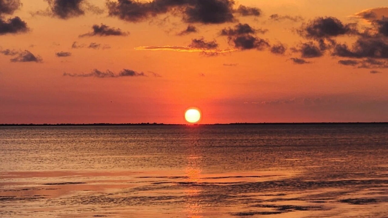 Photo of Others in Red Fish Cove