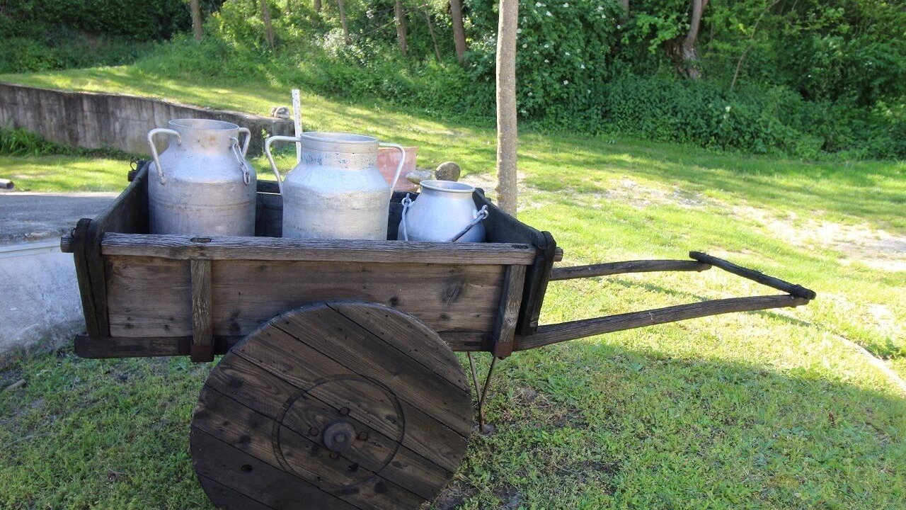 Photo of Others in Marennes