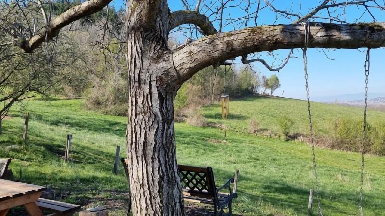 Photo of Outdoor in Marennes