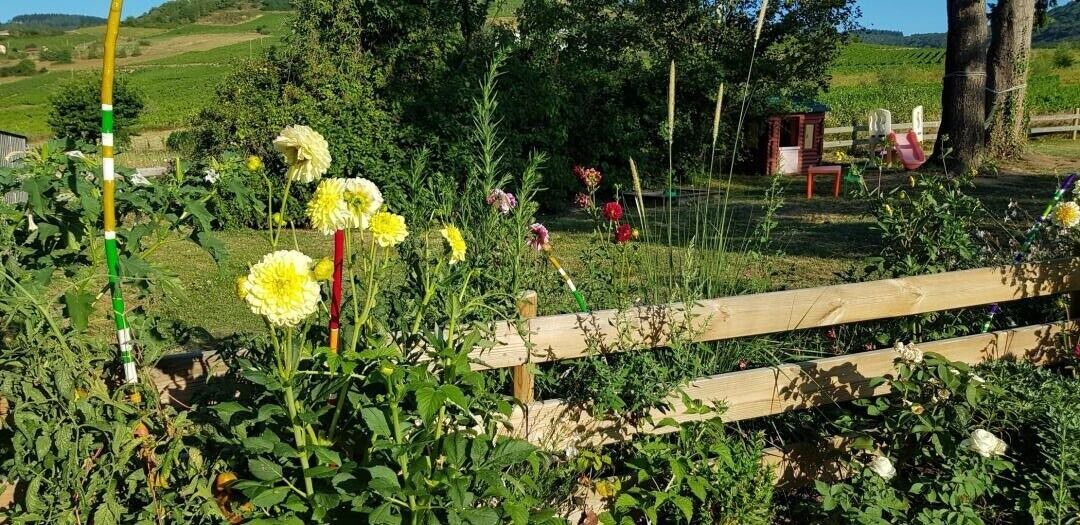 Photo of Outdoor in Le Perreon