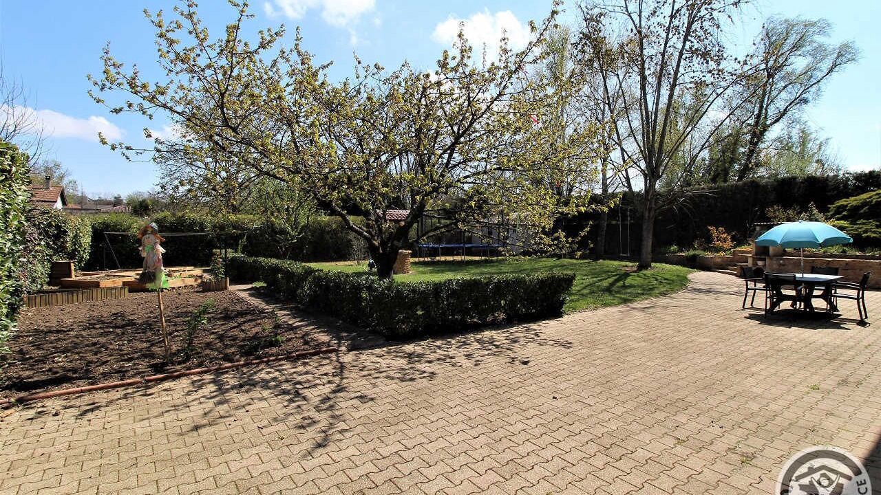 Photo of Outdoor in Limas